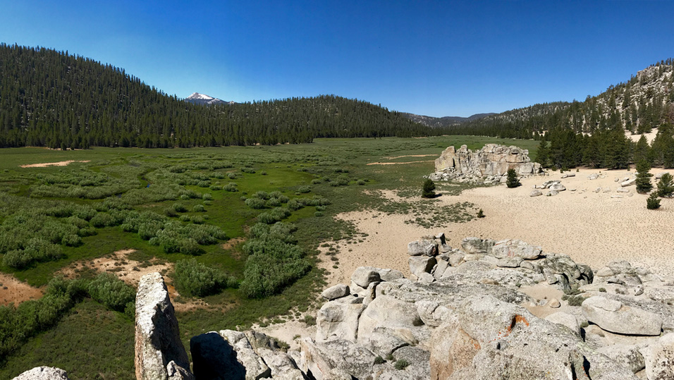 tunnel meadow